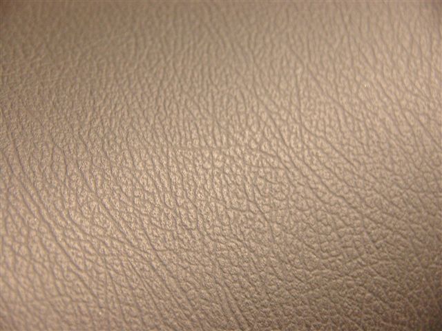 20090219_1